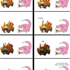bidoofisonfire