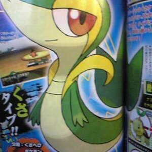 pokemon black/white starters photo