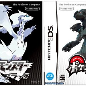 Pokemon BLACK!!