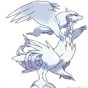 Reshiram