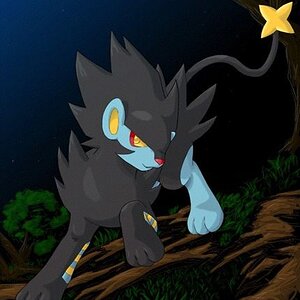 My Luxray, Arashi. This picture was taken just outside of the Ex Orr Forest on Planet Binaura.