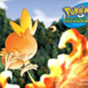 Torchic blowing fire