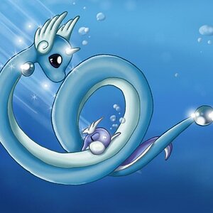 Adorable Dragonair family