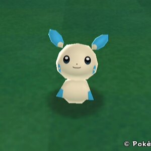 Minun looks at you cutely.