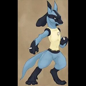Lucario looks like a real animal in this one.