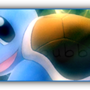 Squirtle Banner