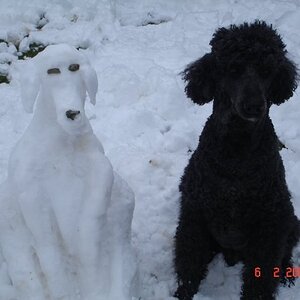 My dawg and his snow pal (Really is my dog in winter, made a snow version of him)