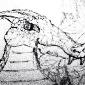 Drago close up (Drawing by me, this is actual very fine detail as its magnified a few times)