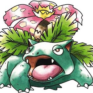 venusaur cor