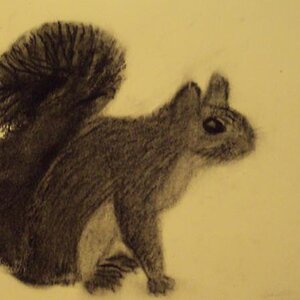Rofl, squirrel :)