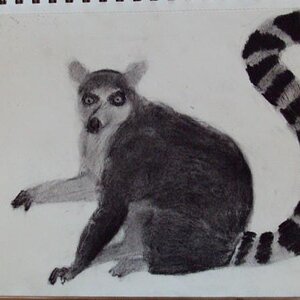 KING JULIAN