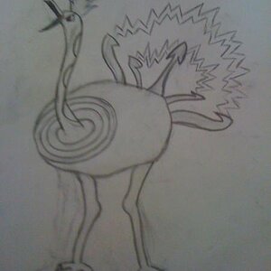 ELECTRIC OSTRICH POWER <3
