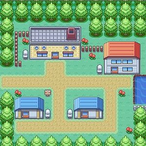 new bark town