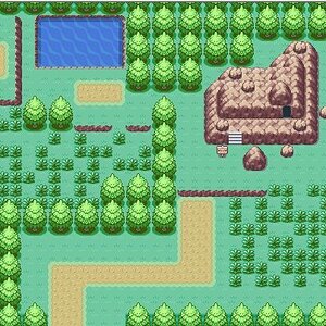 route31