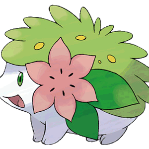 shaymin