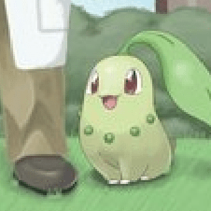 Chikorita for starter