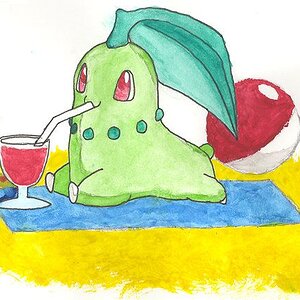 Chikorita on a Beach