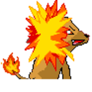 starter 4.1 back