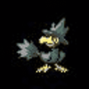 Flashing Murkrow