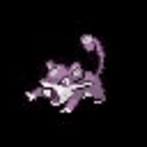 Flashing rattata