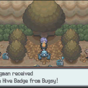 SS Hive Badge
