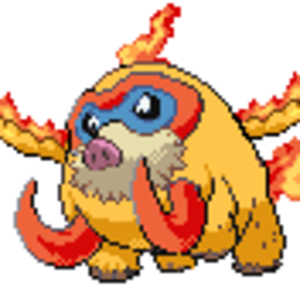 Molswine