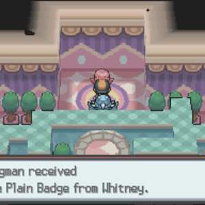 SS Plain Badge