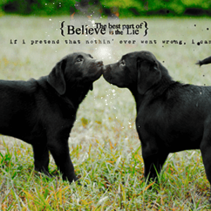 Dog love