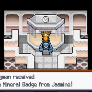 SS Mineral Badge
