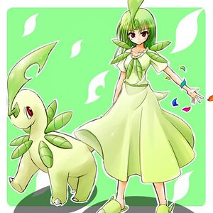 Bayleaf