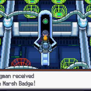 SS Marsh Badge