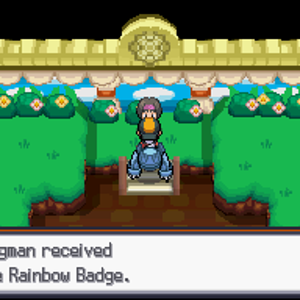 SS Rainbow Badge