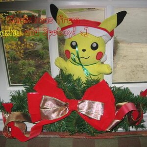 This was a picture I took of my stuffed Pika in a window for a Christmas card on another website. Isn't he festive? :3