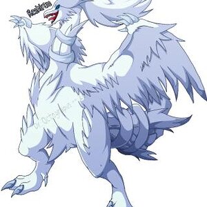 Reshiram -- For Draw-Off