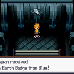 SS Earth Badge