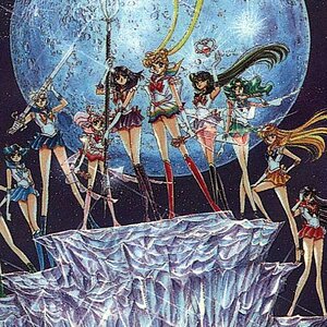 Senshi Groups