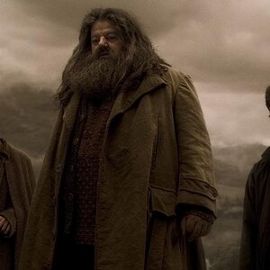 potter 3 shot