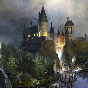 harry potter