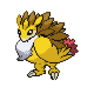 Sandkrow/Honchslash