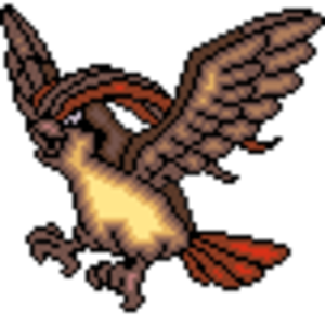 Pidgeot