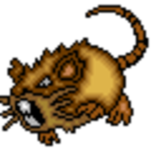 Raticate