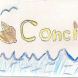 Conch #1