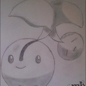 Cherubi