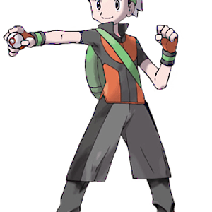 Pokemon Trainer Brendan Emerald