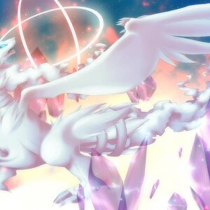 Reshiram Wallpaper by Rukaria