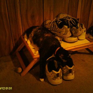 baby with her face in a shoe sleeping