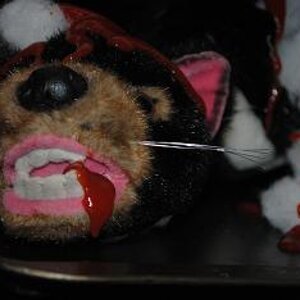 When a toy breaks, all that is left is to experiment. No, this is not a real Tasmanian Devil.