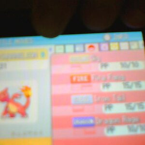 my charmeleon,moves:
Dig
Fire Fang
iron tail
dragon rage
