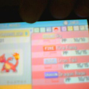 my charmeleon,moves:
Dig
Fire Fang
iron tail
dragon rage