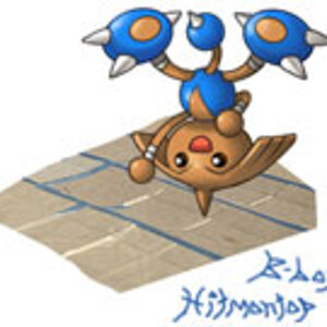 B'BOYHitmontop